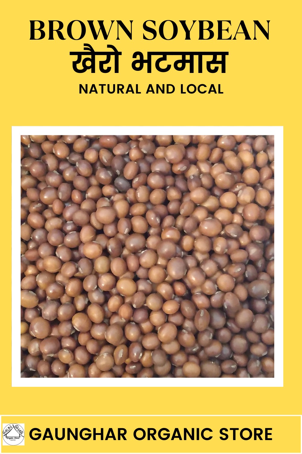 Brown Soyabean Local 1 Kg